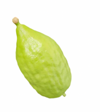 Load image into Gallery viewer, Moroccan Esrog Sets
