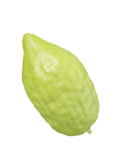 Load image into Gallery viewer, Moroccan Esrog Sets

